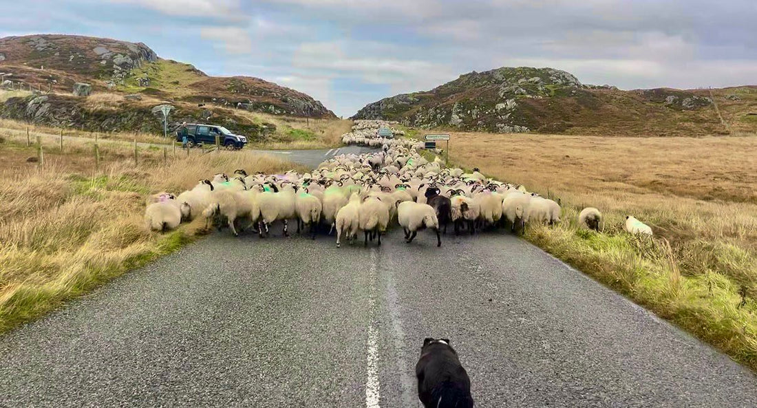 We've been caught out.