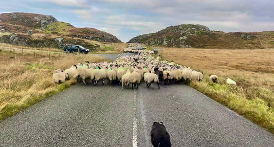 We've been caught out.