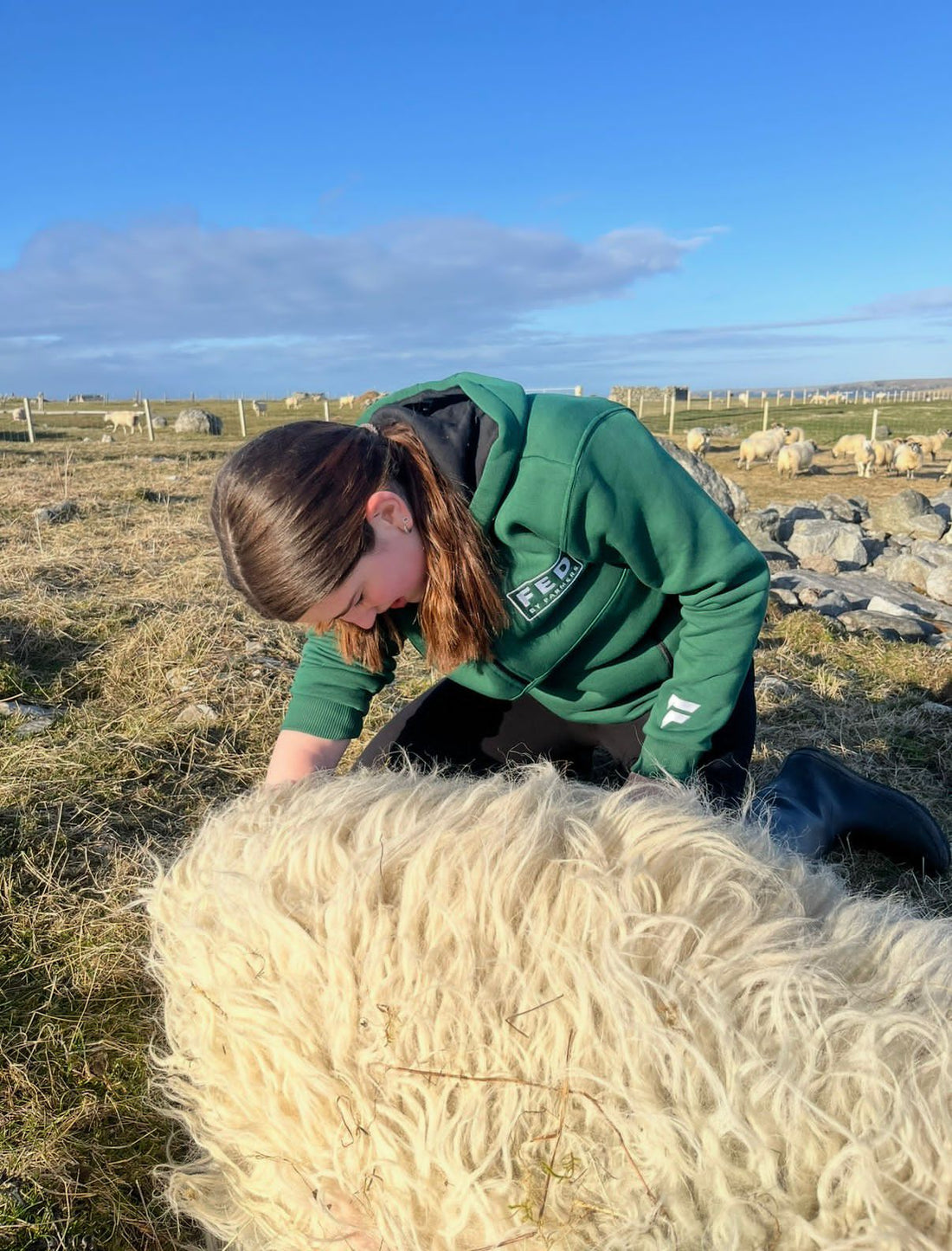 Waiting on a ewe to lamb