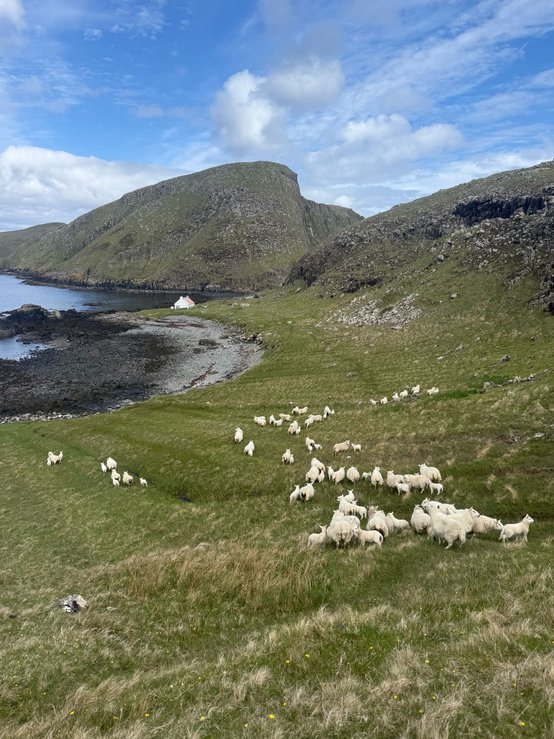 Gathering in the Shiant Isles: A Crofter’s Reflection