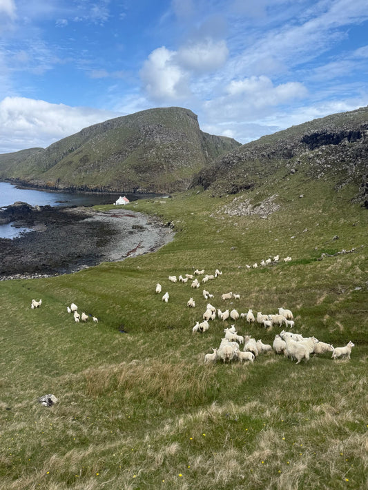 Gathering in the Shiant Isles: A Crofter’s Reflection